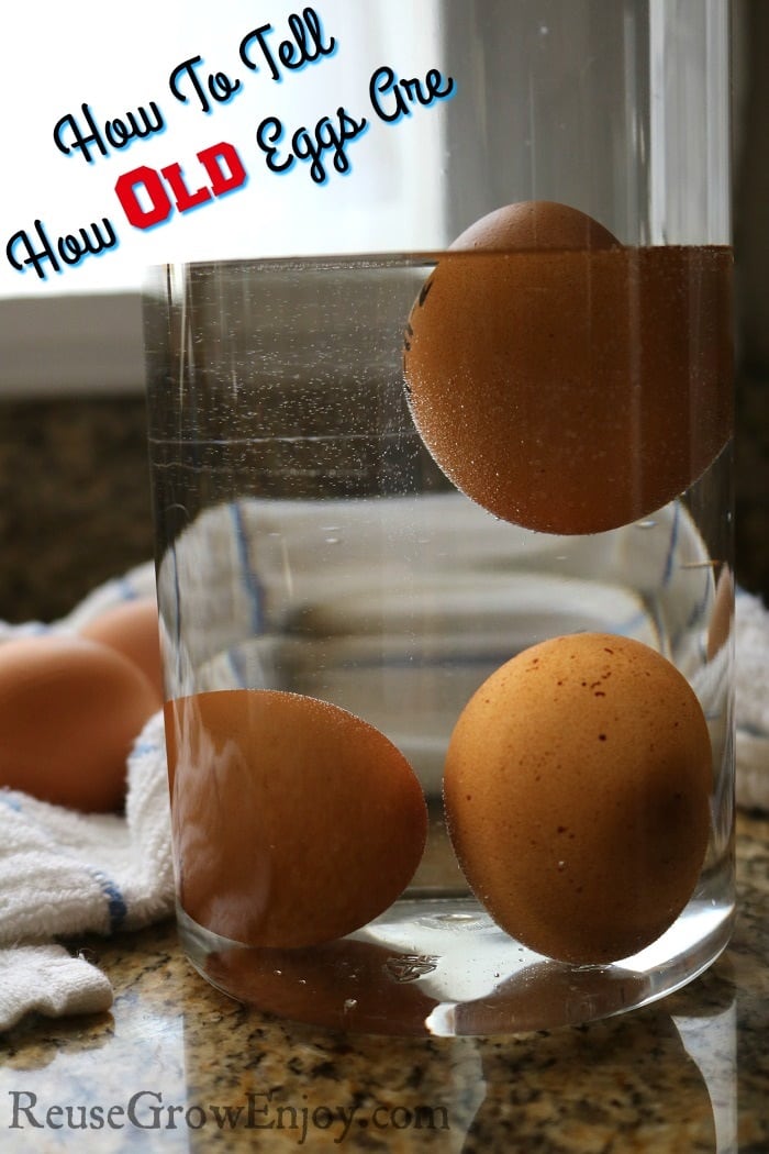 How To Tell How Old Eggs Are. Have you ever wondered how old eggs are that are in your fridge? Or maybe you just bought some and now wondering how fresh they really are? Check out this post to find out how to tell. It is super easy to do too.