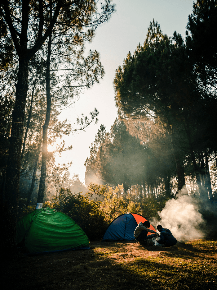 Campsite in woods with people at campfire.