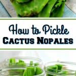 Have you ever eaten cactus nopales? That is the flat part of the prickly pear cactus plant also called the pads. You would be surprised at how good they really are! I will show you How to Pickle Cactus Nopales.