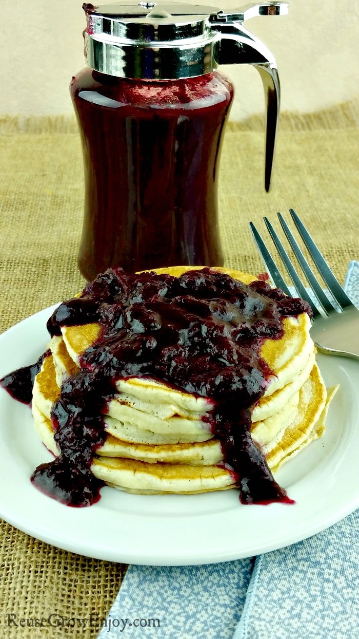 Have a ton of blueberries you need to use up? Check out this recipe for Instant Pot homemade blueberry syrup/sauce. Easy to make and oh so good! Plus it is Paleo and no refind sugar added.