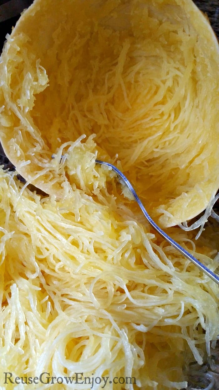 If you like Spaghetti Squash, you have to try this. You can make Instant Pot Spaghetti Squash in about 10 minutes!