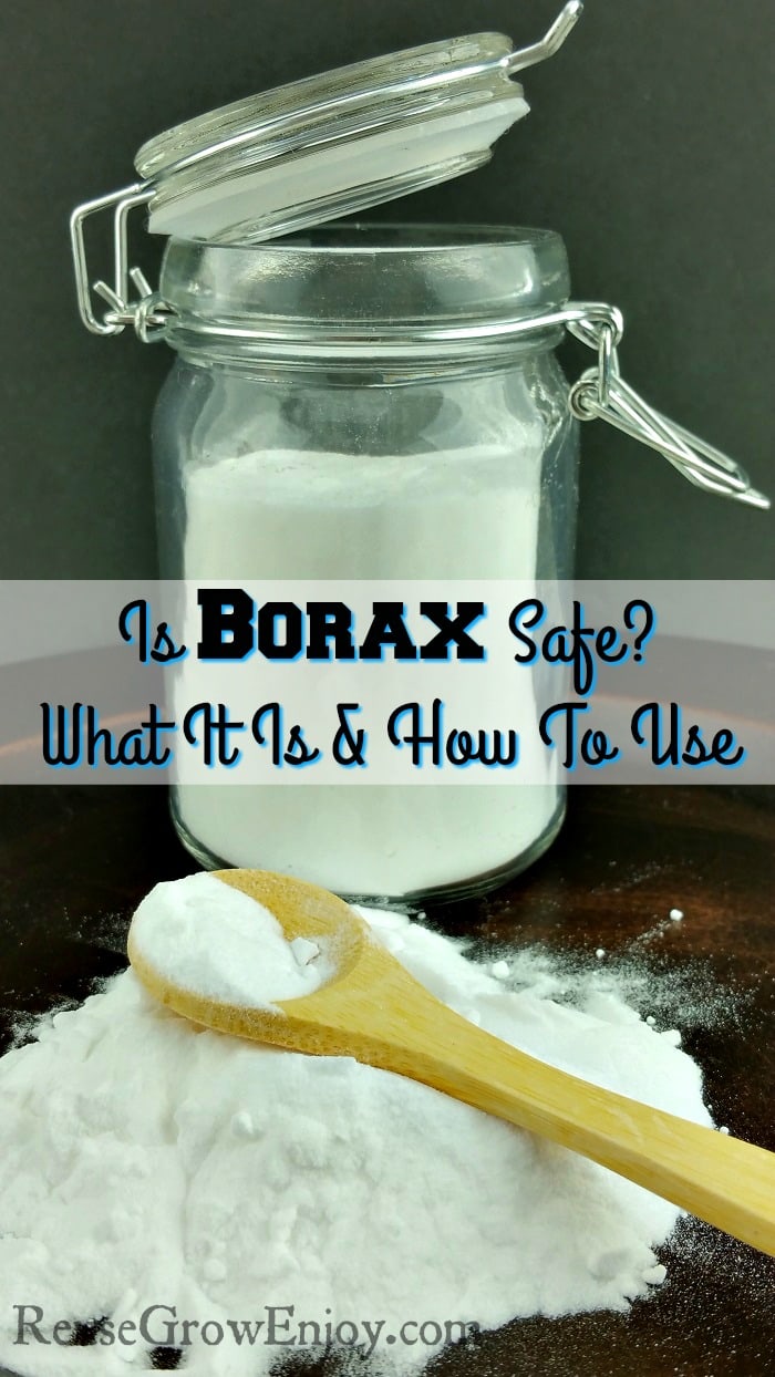 Is Borax Safe