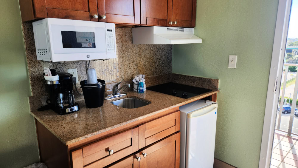 Small kitchen with cooktop fridge and microwave