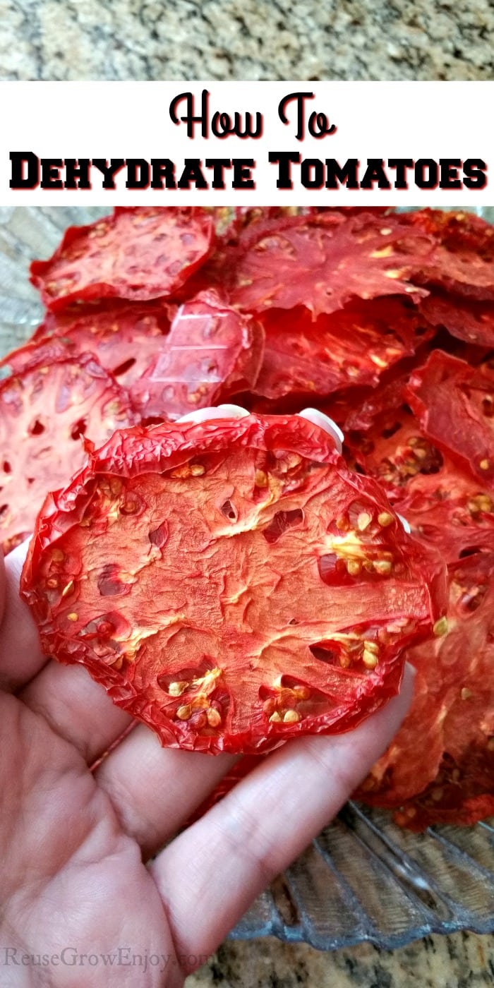 Hand holding dry tomato. Text overlay that says "How To Dehydrate Tomatoes"