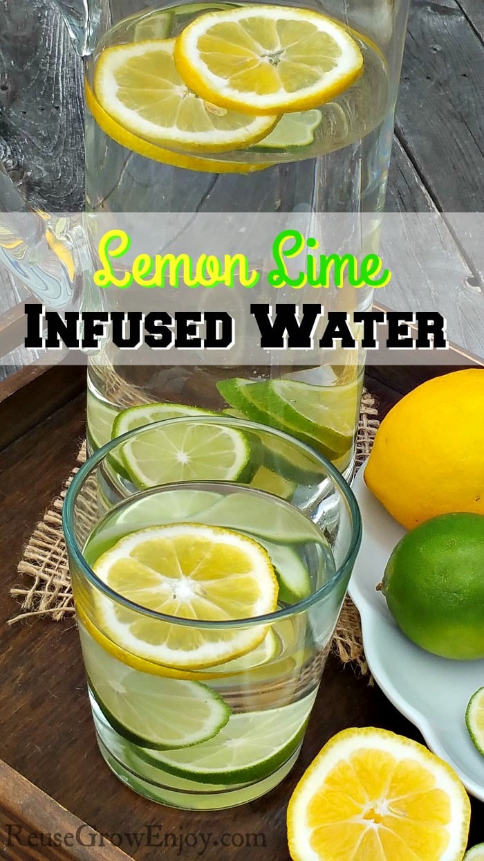 Lemon Lime Infused Water
