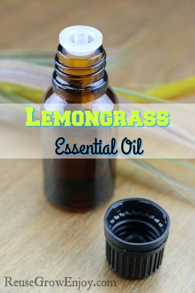Lemongrass Essential Oil Reuse Grow Enjoy