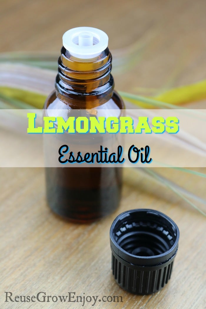 Have you added Lemongrass Essential Oil to your oil collection? If not, you should! After you use it, I am sure you will love it as much as I do. Check out this post to see lots of uses for it.