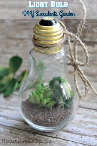 Looking a cute way to add the look of plants to your house? Check out this Mini Light Bulb DIY Succulents Garden!