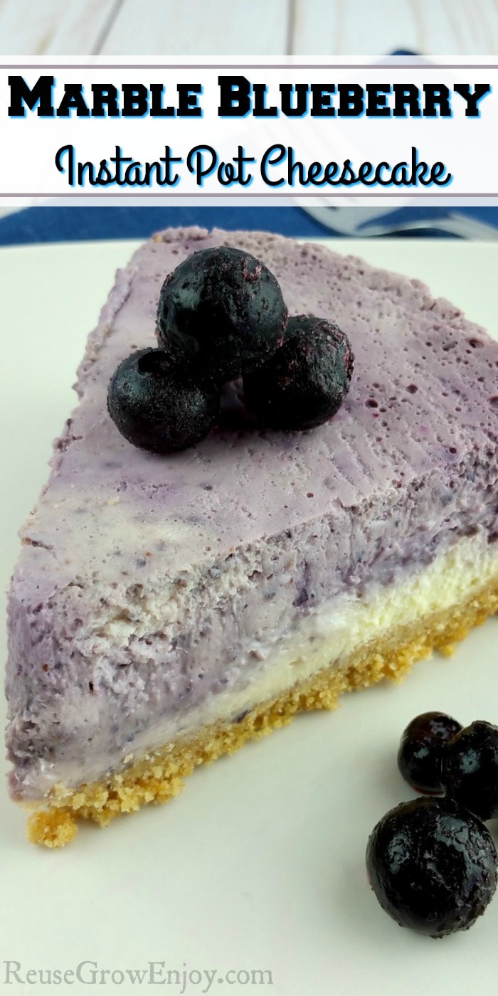 Slice of Marble Blueberry Instant Pot Cheesecake on a white plate with fresh blueberries on top and to the side. Text overlay at the top that says "Marble Blueberry Instant Pot Cheesecake".