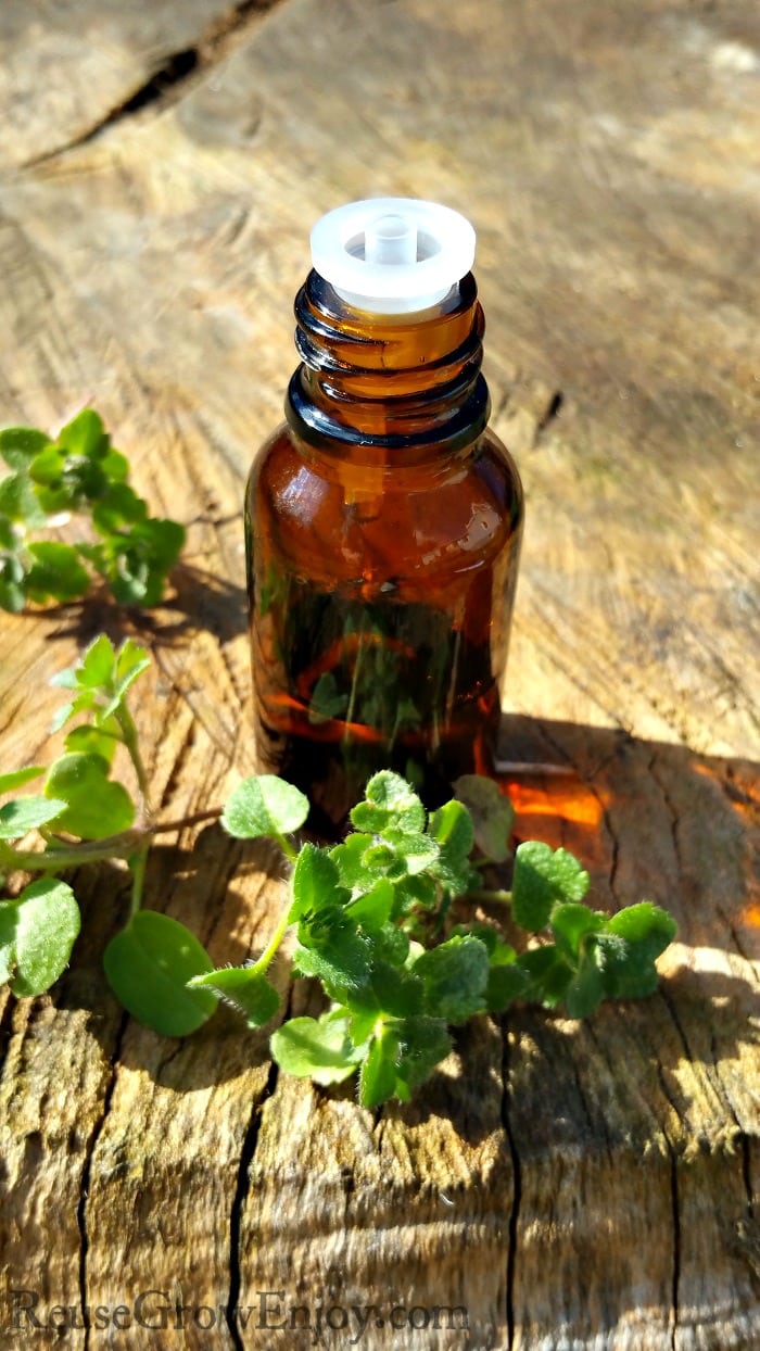 Marjoram essential oil is one oil that has a great variety of benefits and uses and is a truly valuable oil that should be kept on hand. I am going to share a few things with you about the oil and ways it can be used.