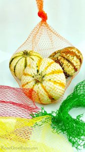 Orange mesh produce bag with 3 fall squash in back with red, yellow & green mesh bags in front.