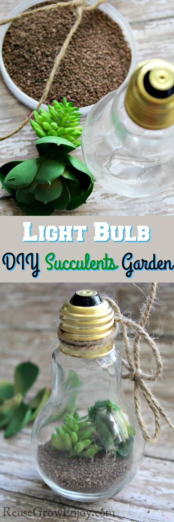 Looking a cute way to add the look of plants to your house? Check out this Mini Light Bulb DIY Succulents Garden!