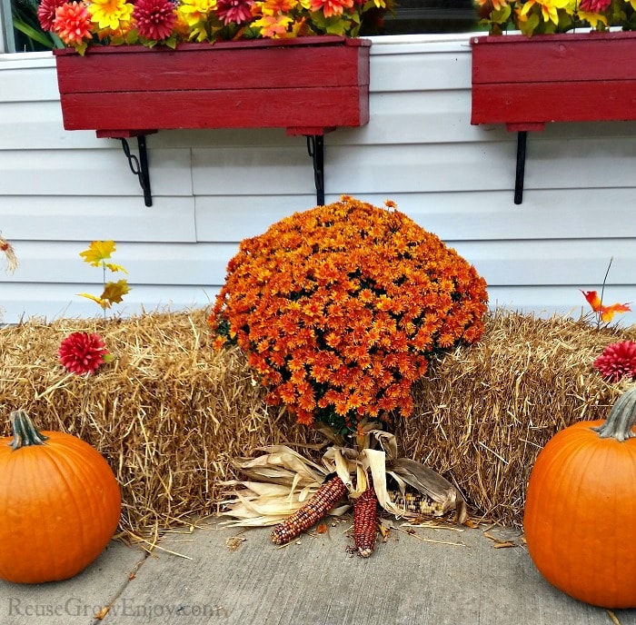 Orange mums on a hay bale with pumpkins in front