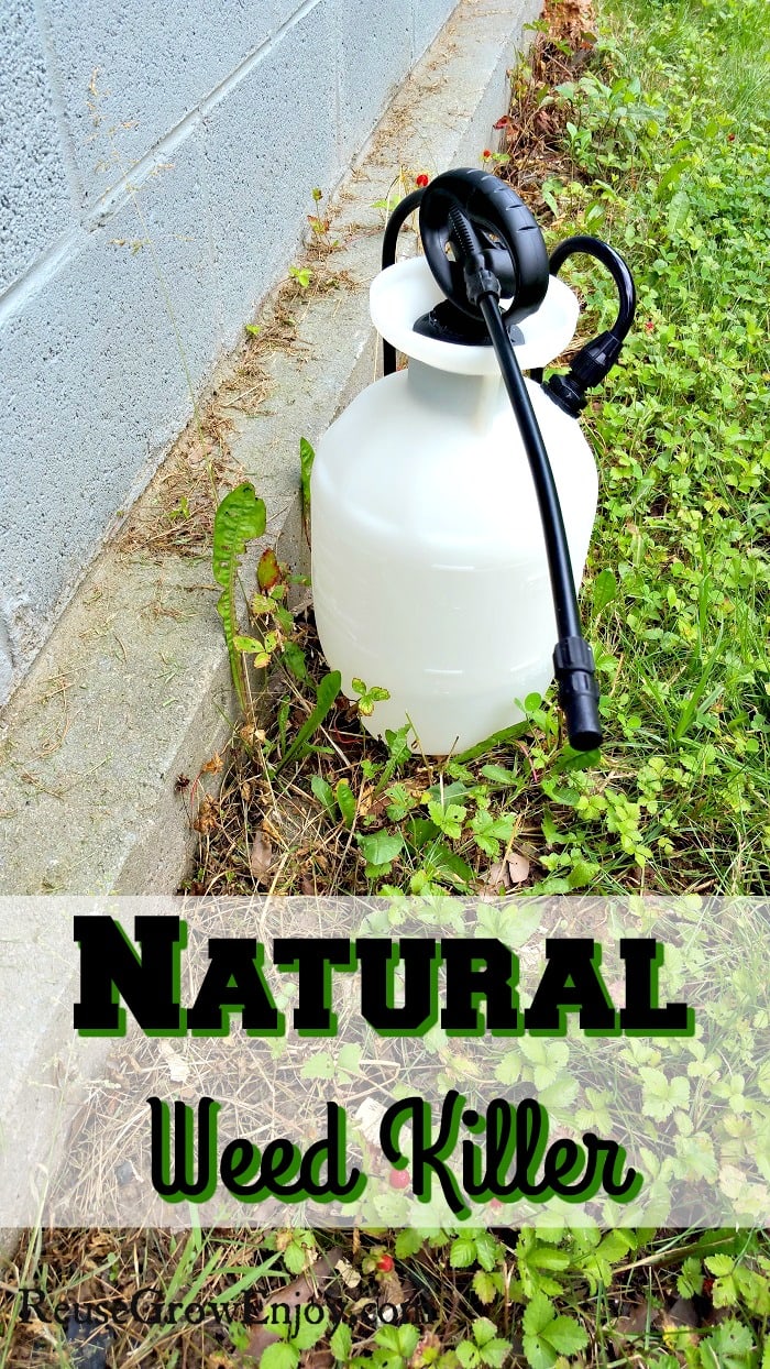 One gallon sprayer with Natural Weed Killer inside