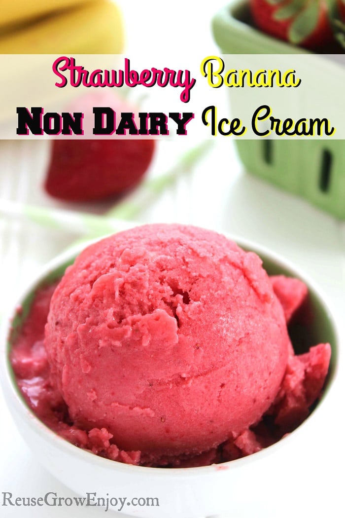 Non Dairy Ice Cream Strawberry Banana Flavor