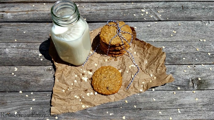 If you are looking for a nice cookie recipe to try that is dairy free and low in sugar, check out this recipe for Sugar Free Dairy Free Oatmeal Raisin Cookies!