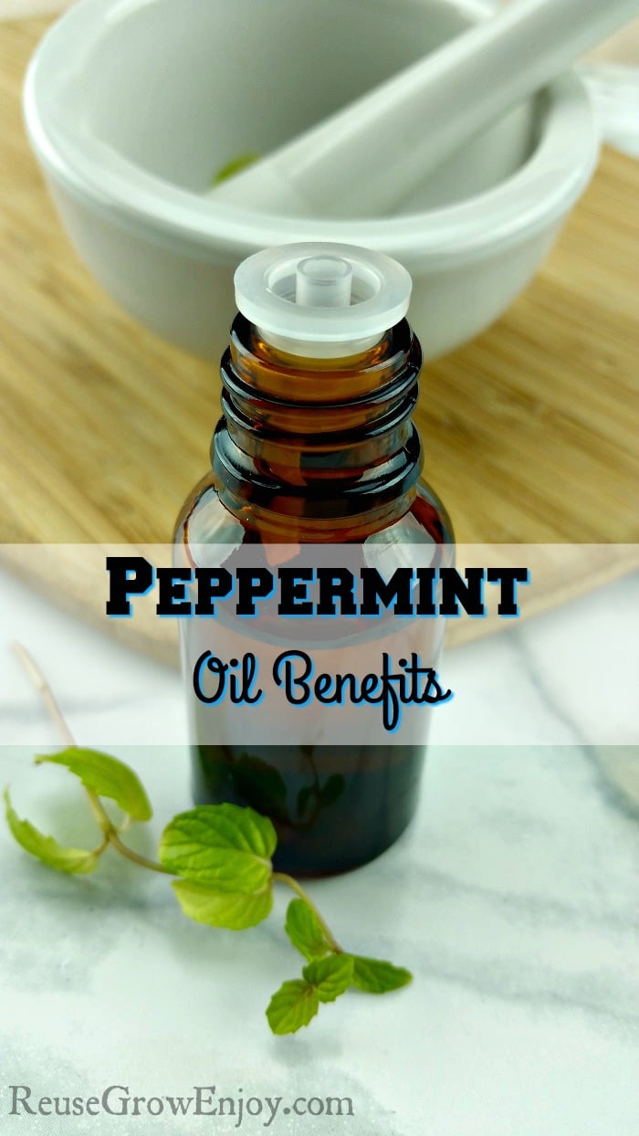 When it comes to essential oils, peppermint oil is among the most beneficial. Whether you purchase it commercially or make it yourself, it probably won't take long for you to wonder how you ever managed without it.