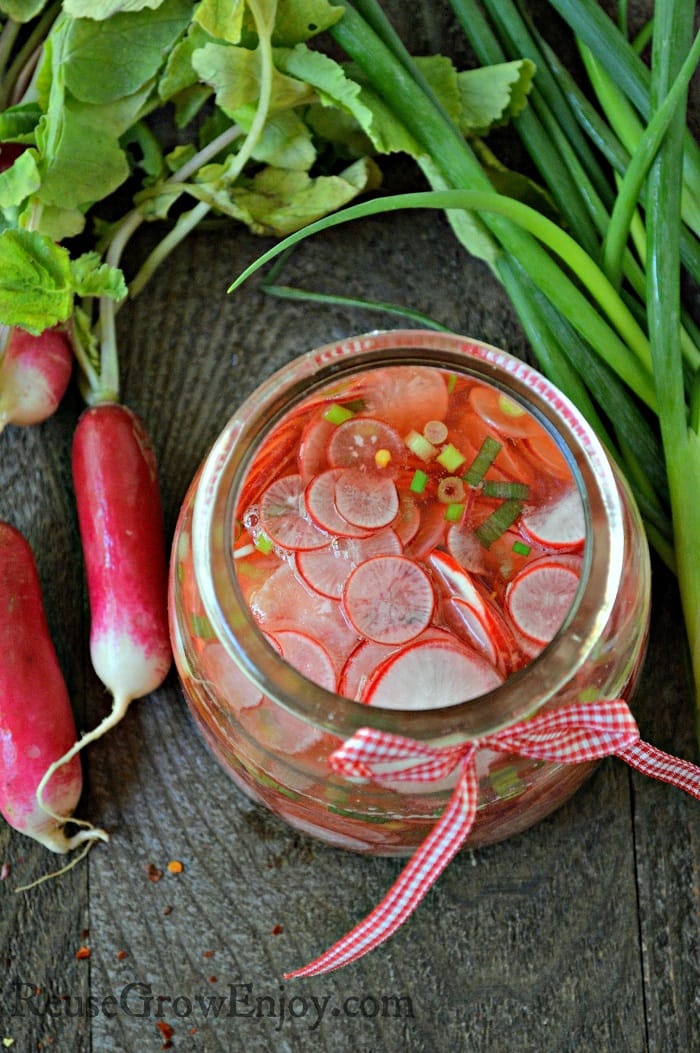 Pickled radishes Jar