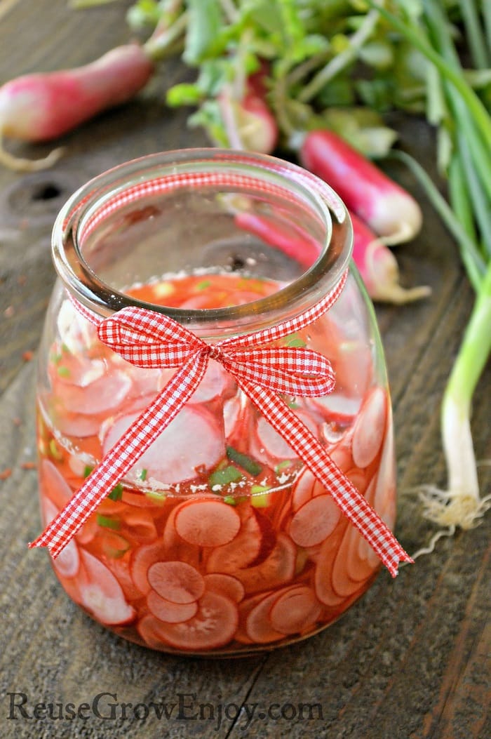 Pickled Radishes