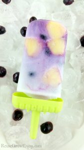 Looking for a healthy frozen treat? Check out this easy and yummy pineapple blueberry popsicle recipe! Vegan, gluten free, dairy free and sugar free!