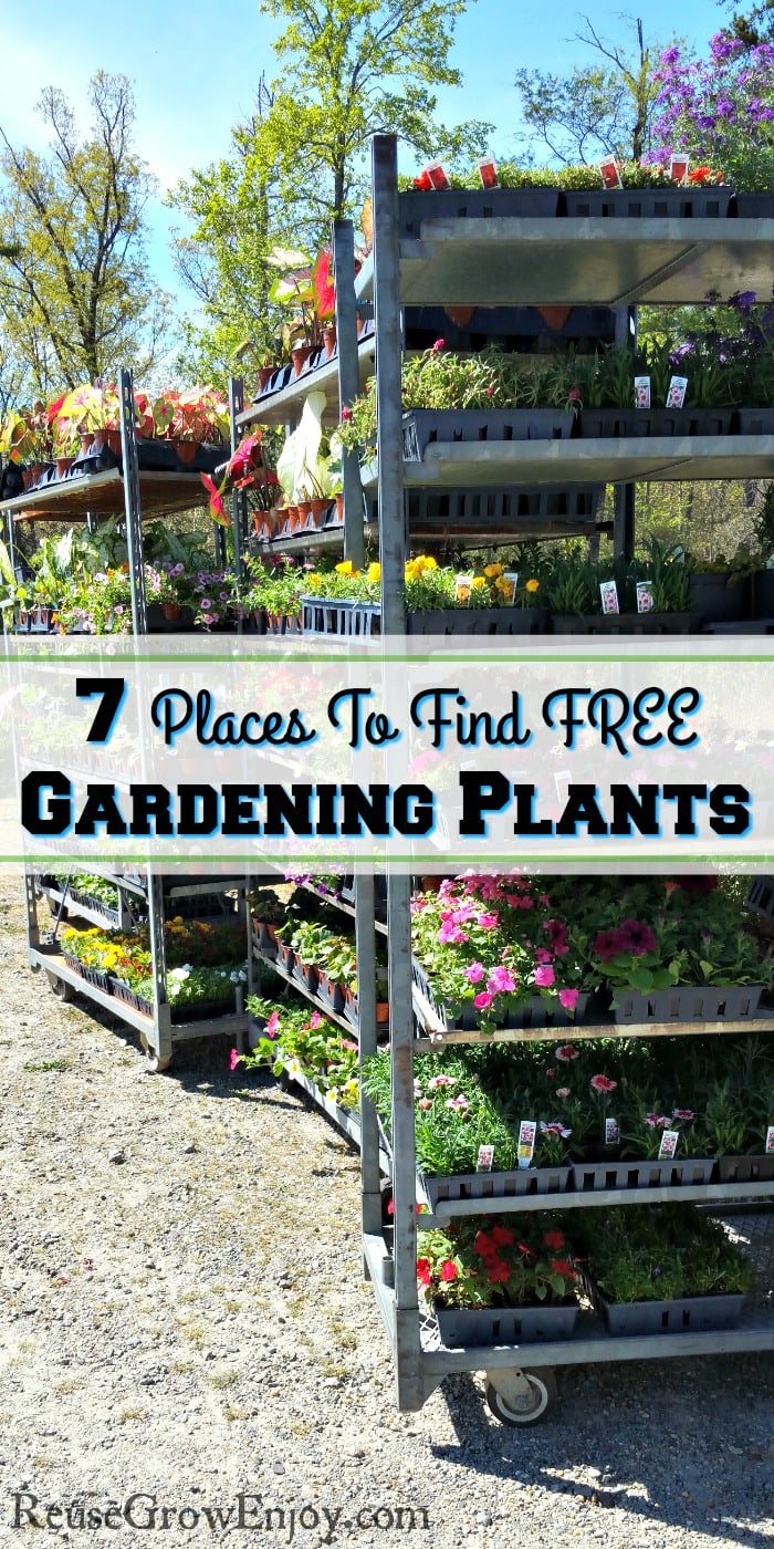 Rolling racks full of gardening plants. Text overlay that says "7 Places To Find Free Gardening Plants".