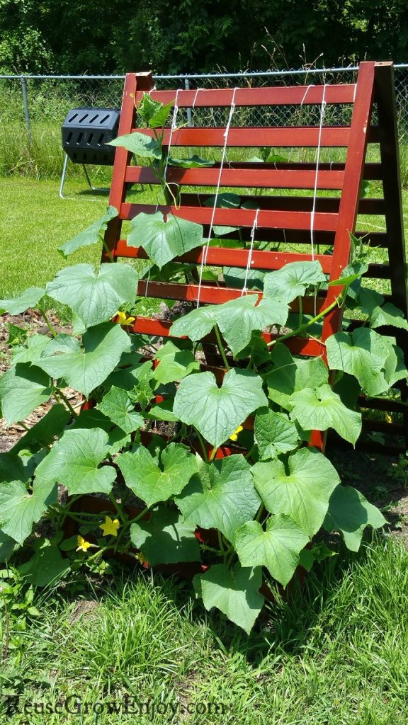 Upcycled Crib Garden Trellis For Climbing Plants