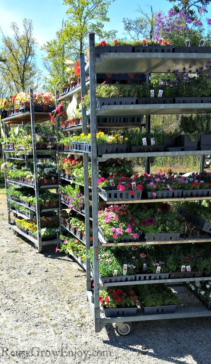 Rolling racks full of gardening plants.