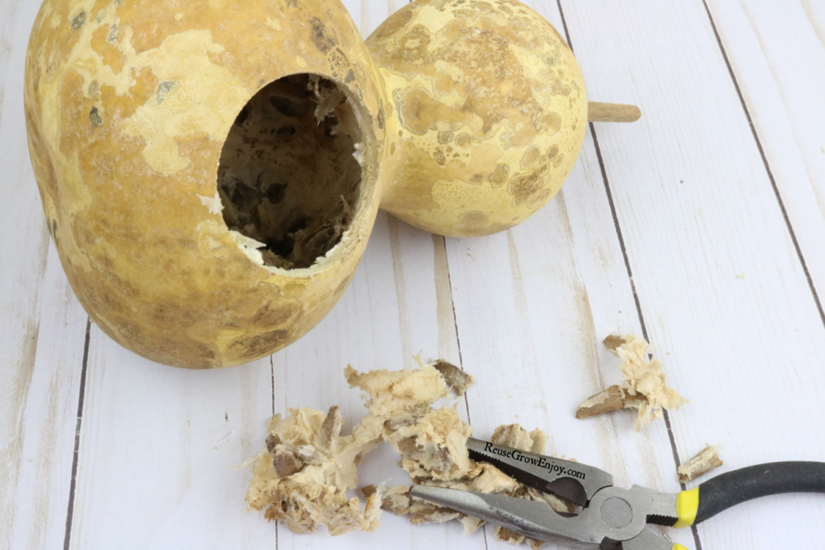 Pliers pulling out the insides of the dried gourd