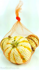 White background with orange mesh produce bags with fall squash