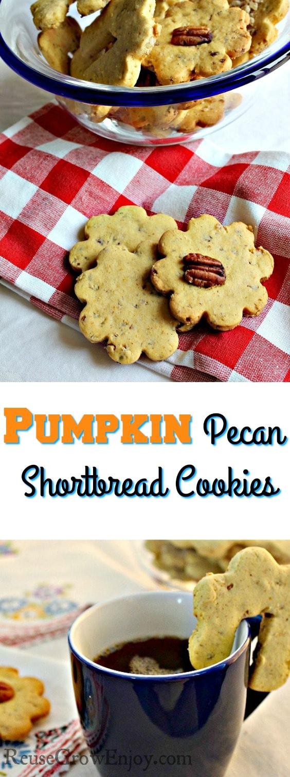 I have a tasty cookie recipe you are going to want to try! It is a recipe for Pumpkin Pecan Shortbread Cookies and they are oh so good!