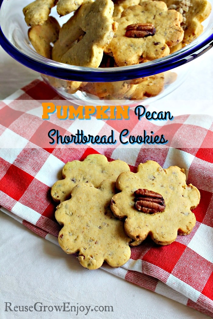 I have a tasty cookie recipe you are going to want to try! It is a recipe for Pumpkin Pecan Shortbread Cookies and they are oh so good!