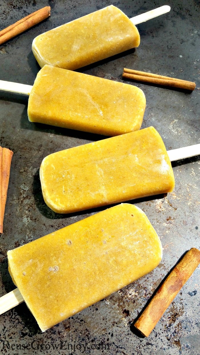 This is the most amazing healthy frozen treat you will ever have! It is a Healthy Pumpkin Pie Popsicle Recipe. It fits with most diets, dairy free, vegan, Paleo, egg free, gluten free, refined sugar-free and even low carb!