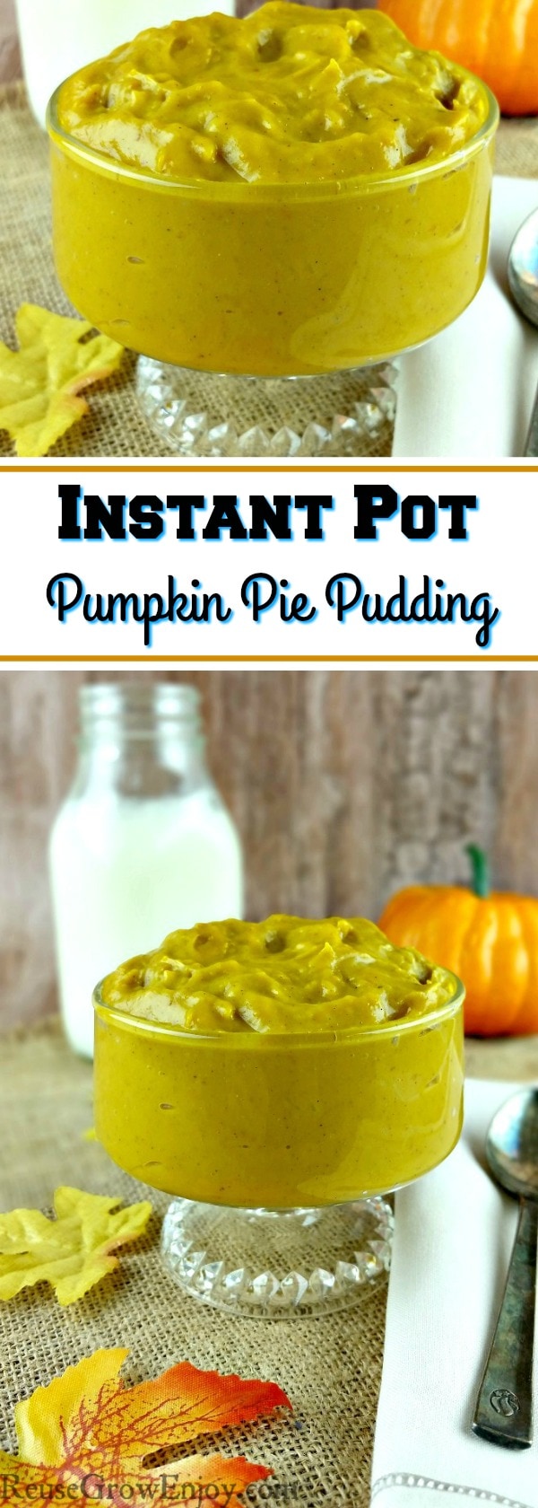 If you are crazy over pumpkin, I have a Instant Pot pudding for you to try. It is a recipe for homemade pumpkin pie pudding!