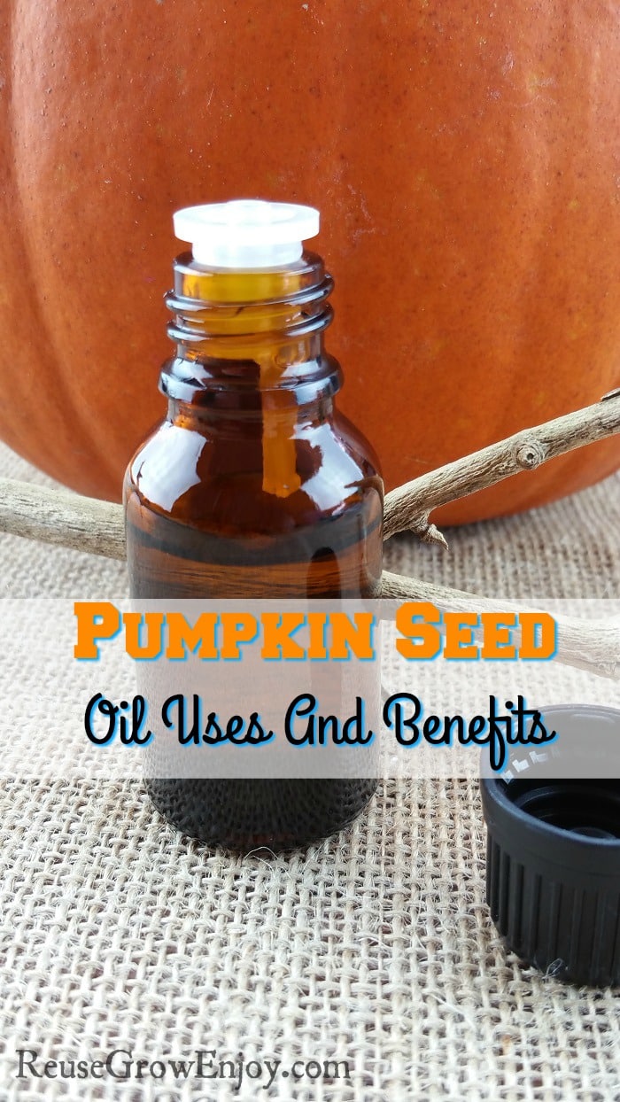 Pumpkin Seed Oil Uses And Benefits