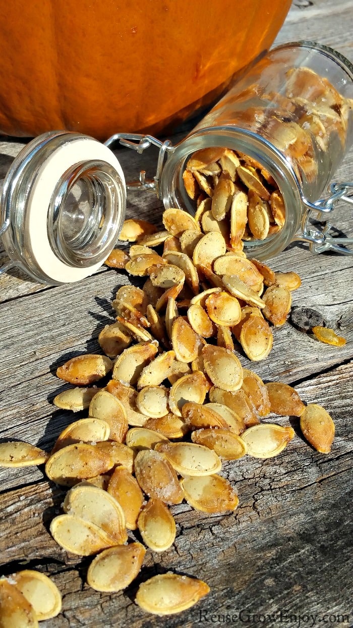 Glass jar on its side spilling out with roasted pumpkin seeds with a pumpkin in the background. Pumpkin seeds are coated in salt and pepper from the pumpkin seed recipe