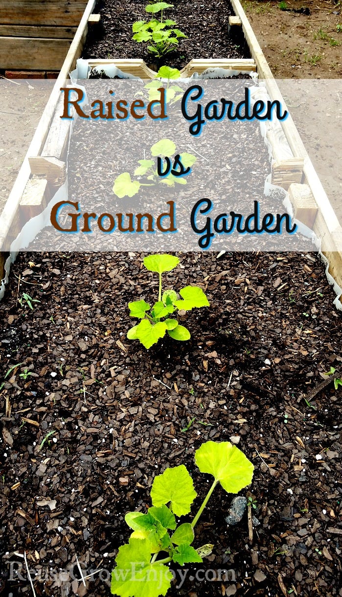 Raised Garden vs Ground Garden