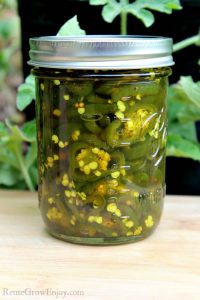 Glass jar full of Candied Jalapenos green plants in background.