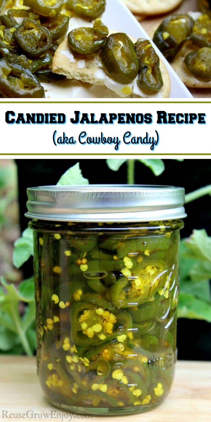 White plate at top with peppers and crackers on it. Full glass jar at bottom. Text overlay in the middle that says Candied Jalapenos Recipe aka Cowboy Candy