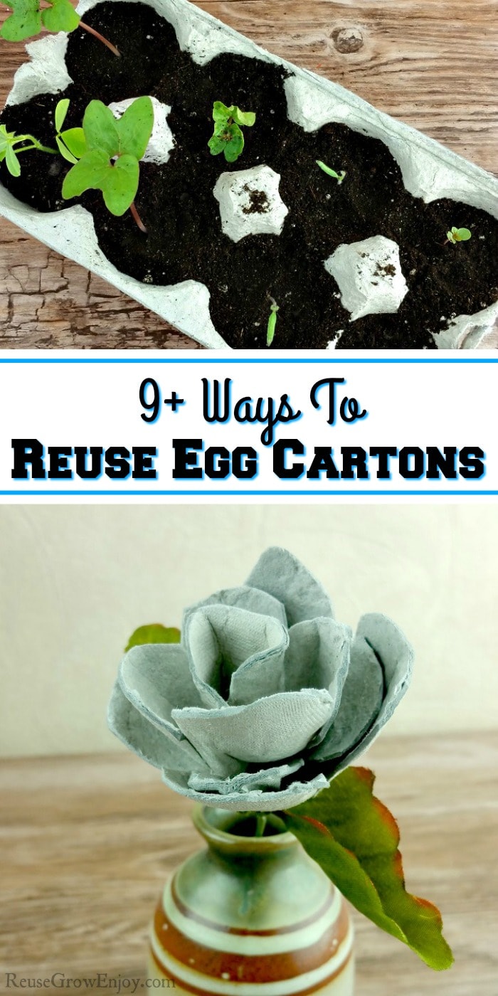 9 Uses For Egg Cartons