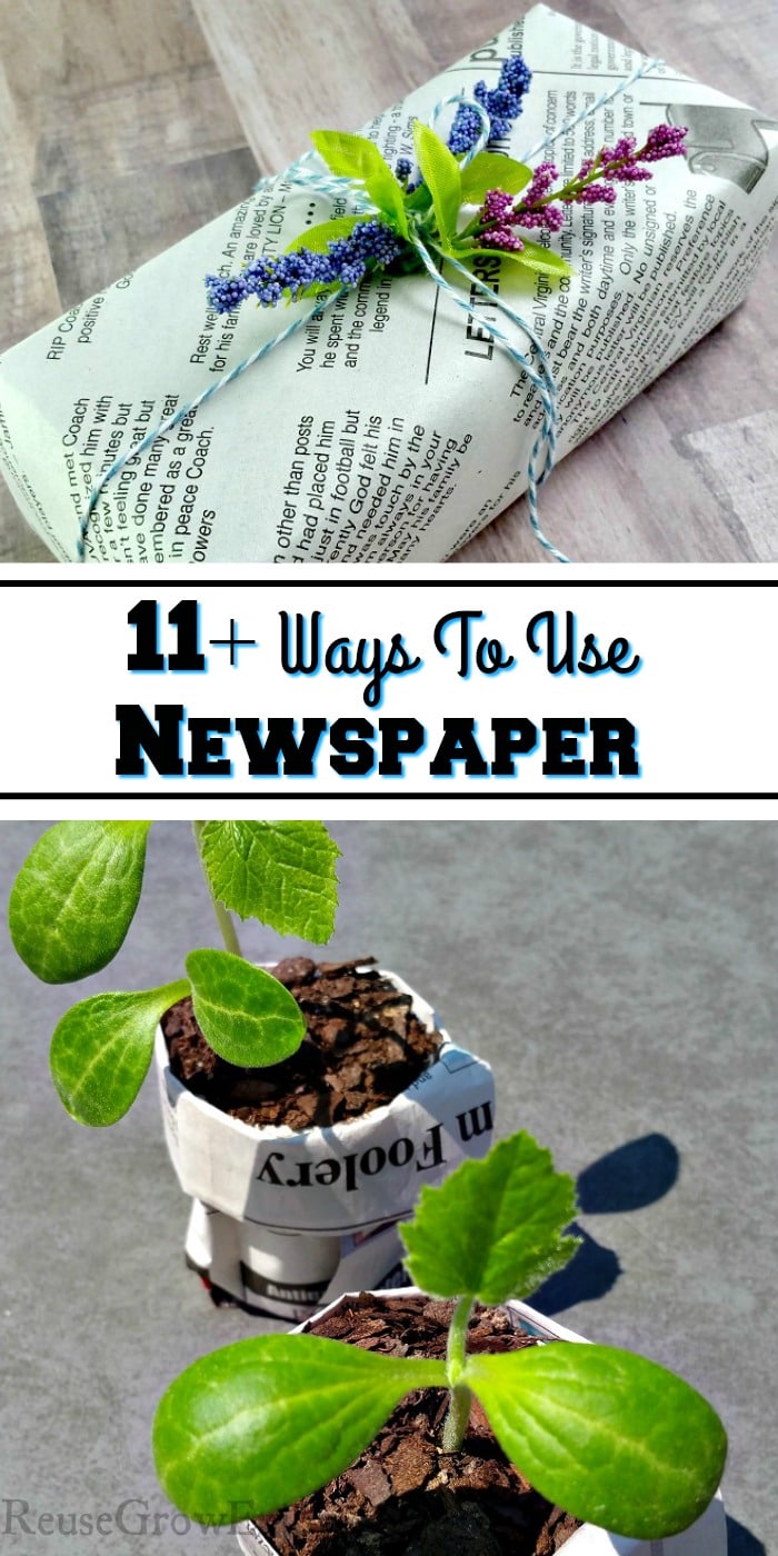 To of pic is a gift wrapped in newspaper and the bottom half is plants growing in newspaper pots. In the middle there is a text overlay that says 11+ Ways To Use Newspaper.