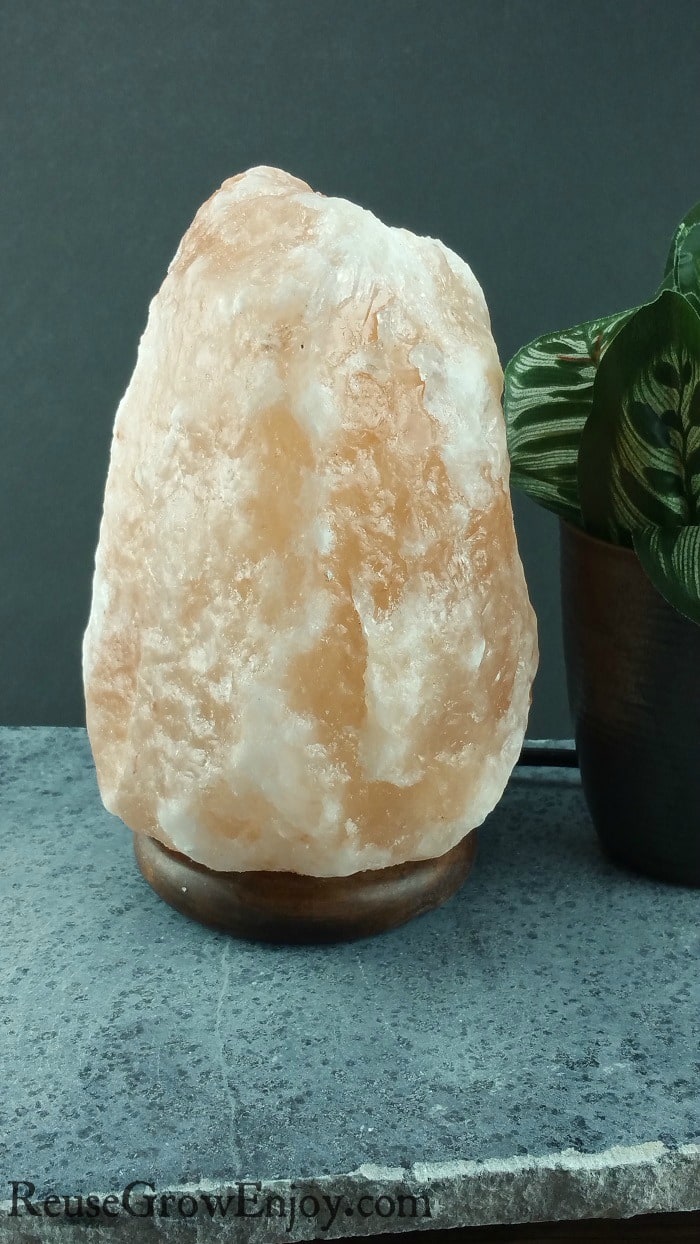 Salt Rock Lamp