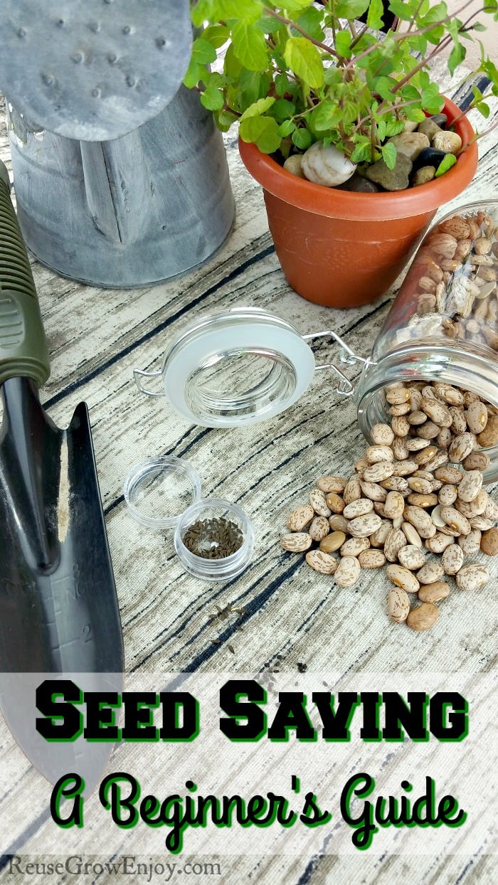 Different types of seeds on a wood looking background. Text overlay at the bottom that sats Seed Saving - A Beginner's Guide