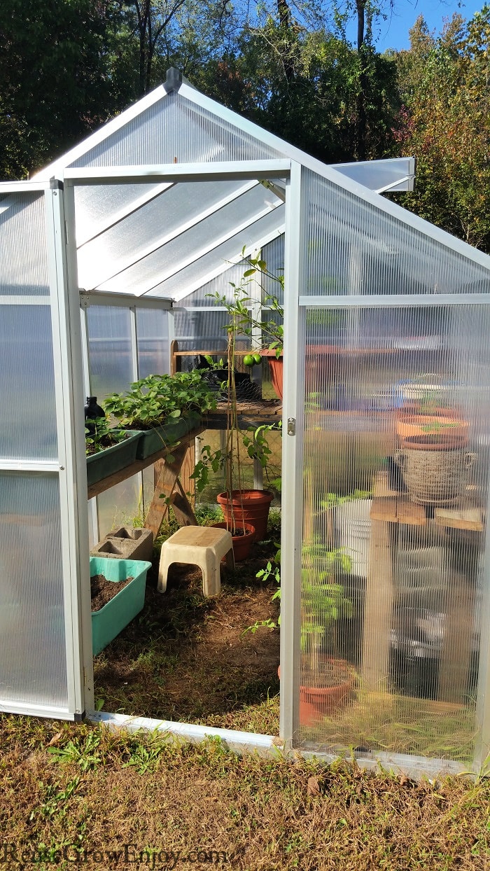 Mini backyard greenhouse garden