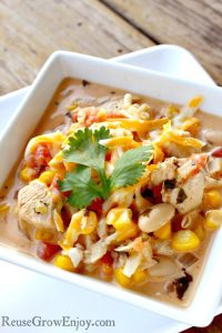 Do you ever get sick of eating the same old soups? If you are looking for something different for your taste buds, I have a recipe you have to try. It is a recipe for Southwest Chicken Soup.
