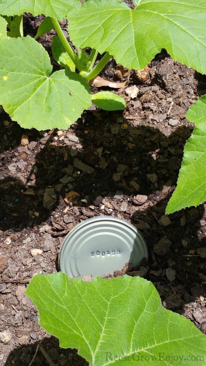 Squash can top garden marker