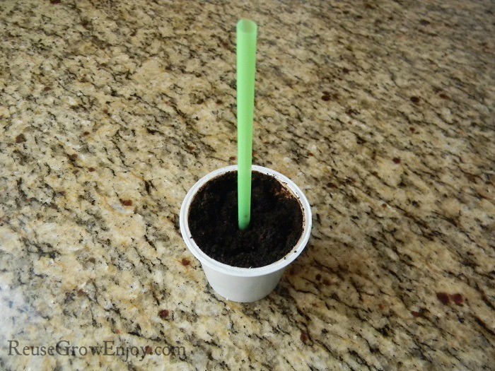 Straw In Cup