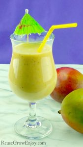 Do you enjoy a good smoothie? They really can be a healthy meal on the go. If you are looking for a new recipe to try, check out this yummy Strawberry Coconut Mango Smoothie!