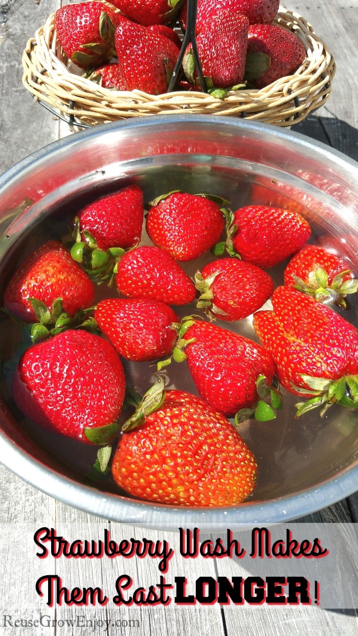 Strawberries in a stainless steel bowl being washed in a homemade strawberry wash. More fresh strawberries in a basket in the background.