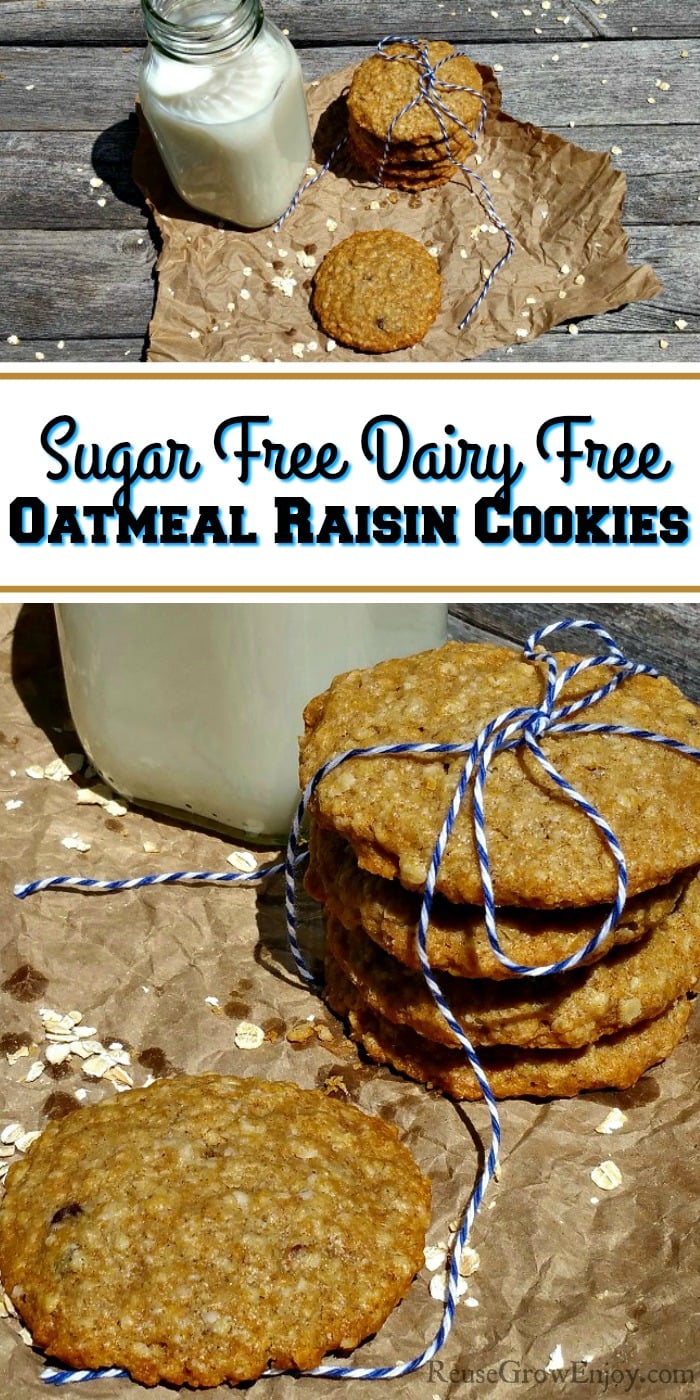 Sugar Free Dairy Free Oatmeal Raisin Cookies - Reuse Grow ...