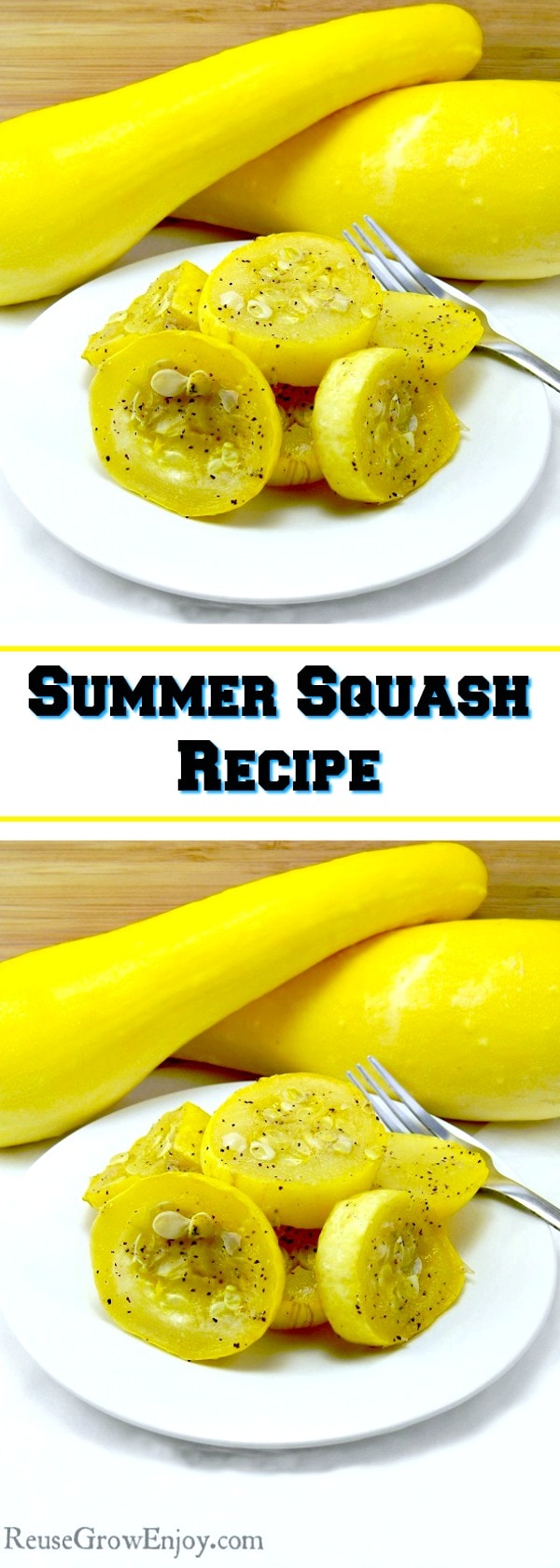 Are you growing summer squash? If so, you have to check out this super yummy and very healthy Summer Squash Recipe! It is so easy to make ANYONE can do it!